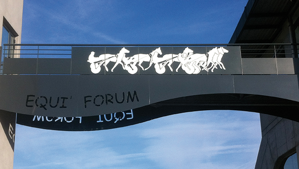 Passerelle Equi Forum