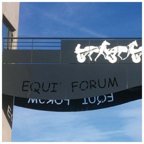 peinture liquide Equi Forum